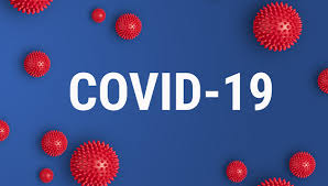 Informazioni sull\'epidemia da Covid-19